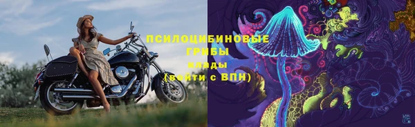 не бодяженный Коряжма