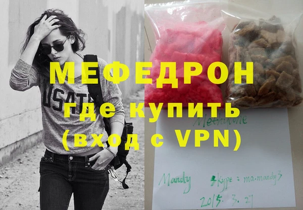 индика Каменногорск