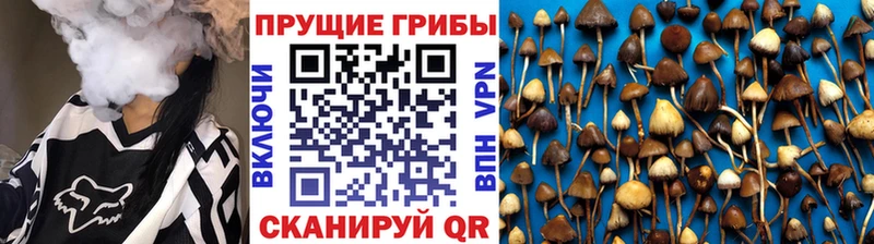 купить наркотики цена  Балей  Галлюциногенные грибы мухоморы 